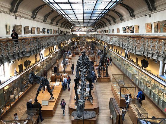 Museum national d'histoire naturelle